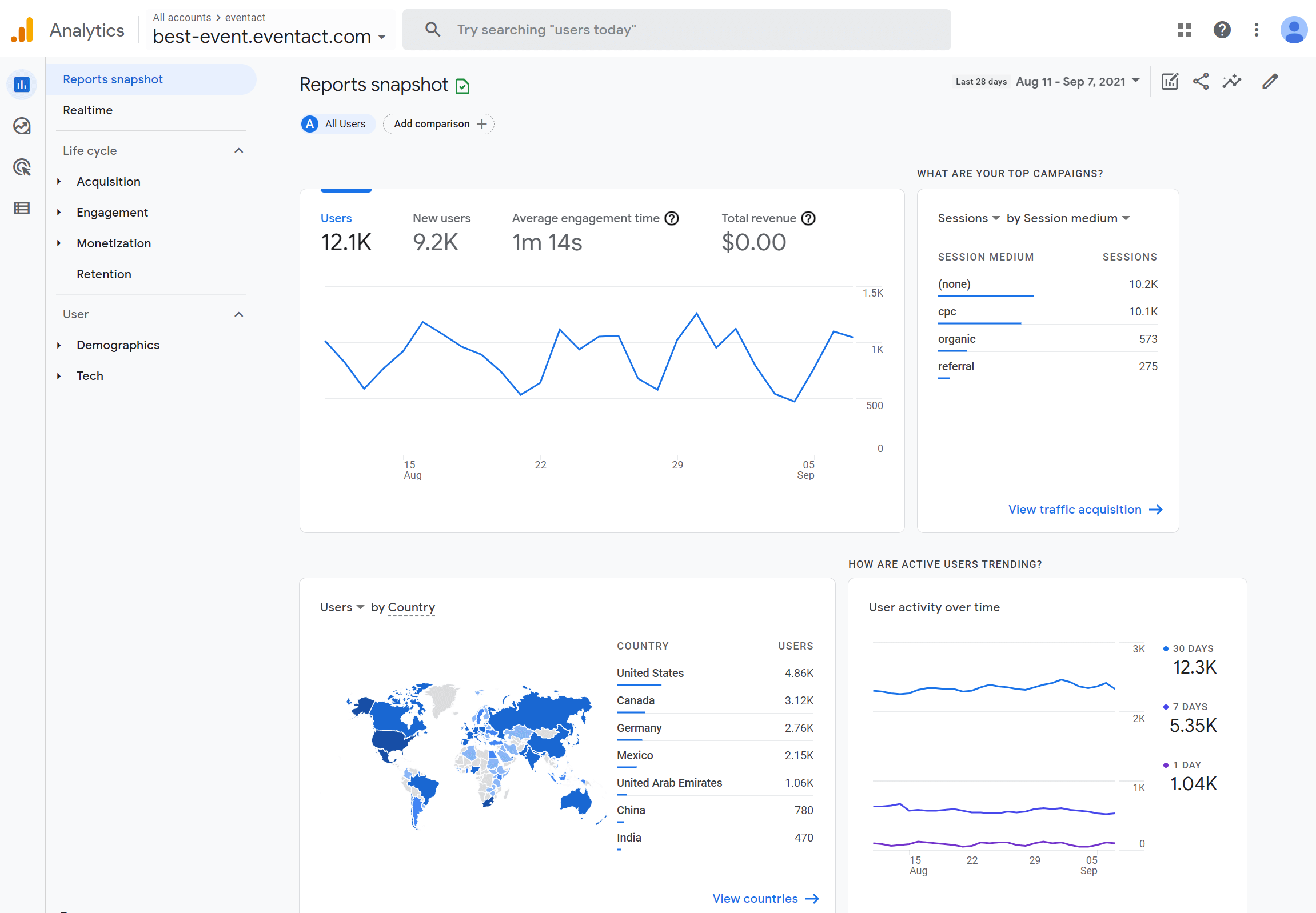 Google Analytics dashboard